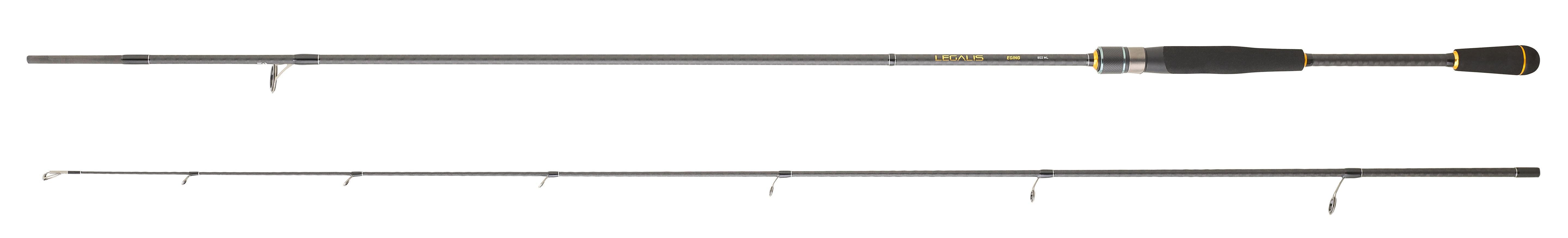 DAIWA LEGALIS SQUID